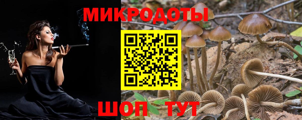 Псилоцибиновые грибы Cubensis Миллерово