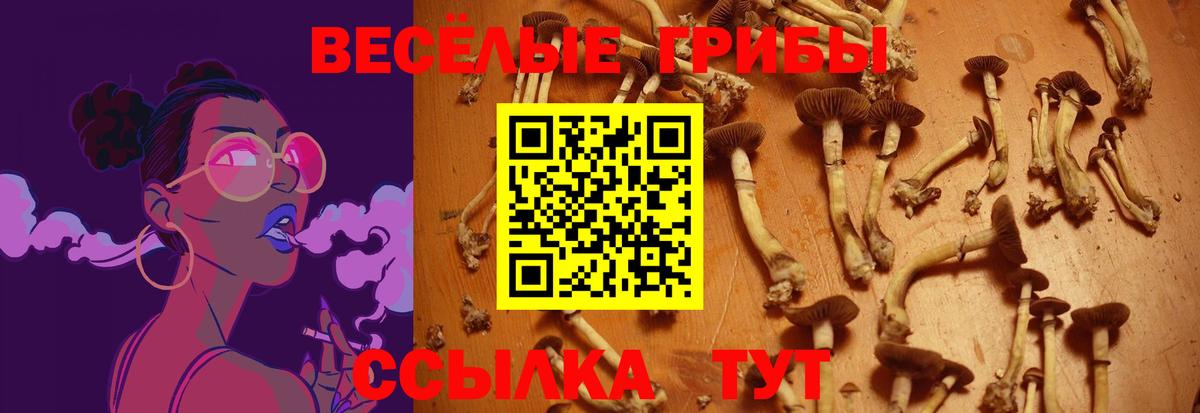 цены   Вход с VPN  Миллерово  Псилоцибиновые грибы MAGIC MUSHROOMS 